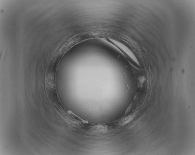 X0000072980421200608111746