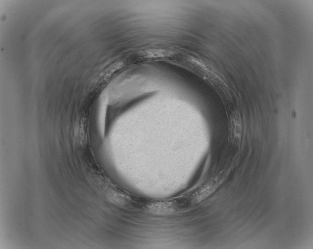 X0000072980422200608111746