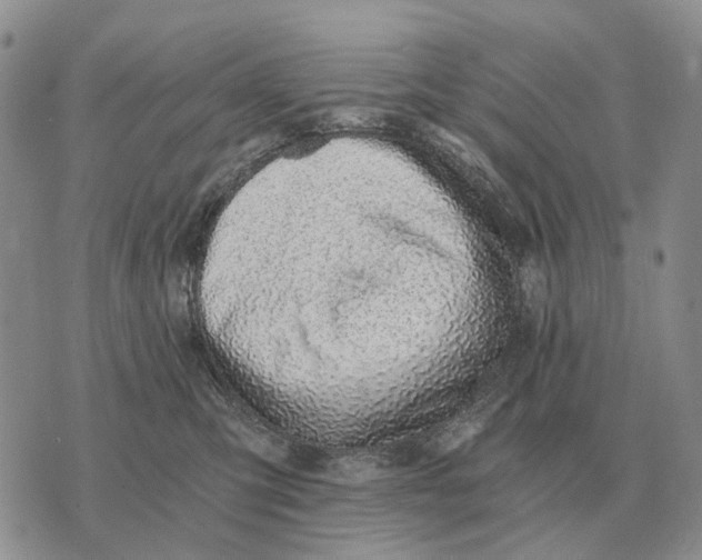 X0000072980423200608111746