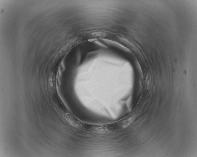 X0000072980424200608111746