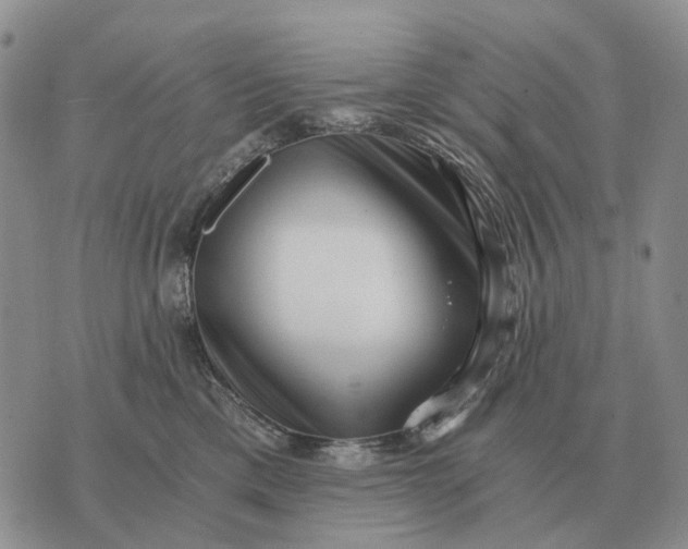 X0000072980425200608111746