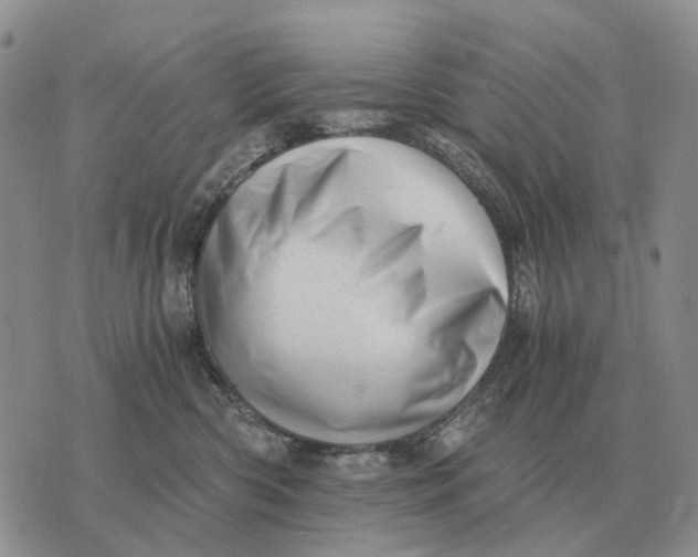 X0000072980426200608111746