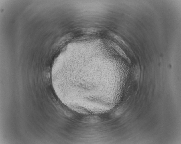 X0000072980427200608111746