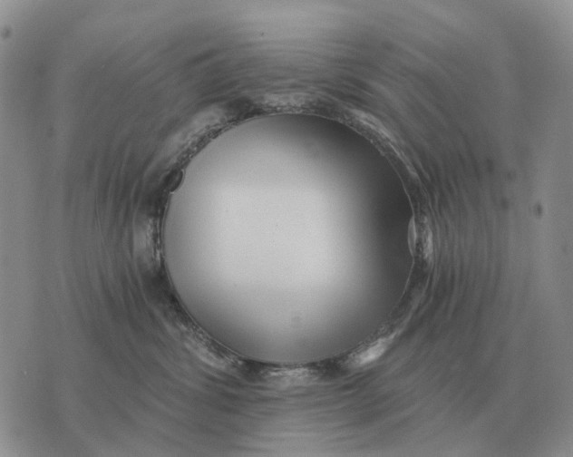 X0000072980428200608111746