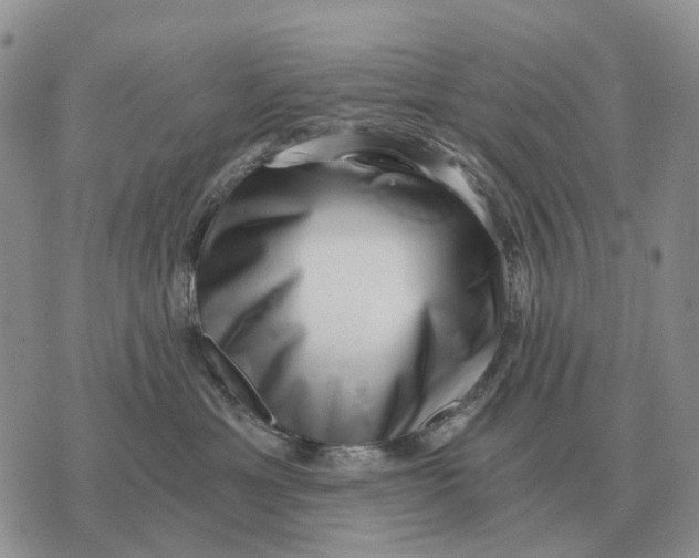 X0000072980429200608111746