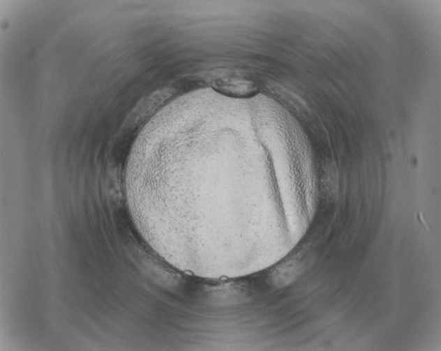 X0000072980430200608111746