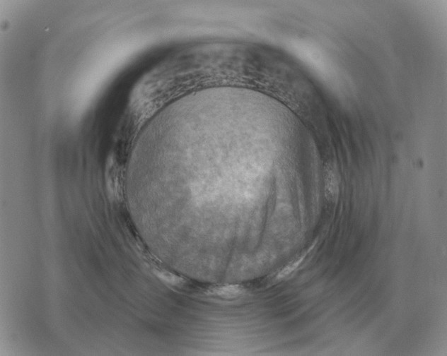 X0000072980431200608111746