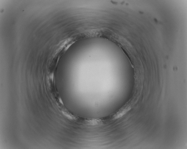 X0000072980432200608111746