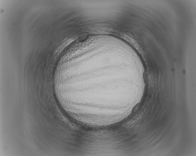 X0000072980433200608111745