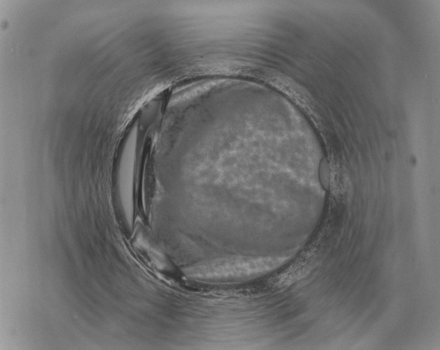 X0000072980434200608111745