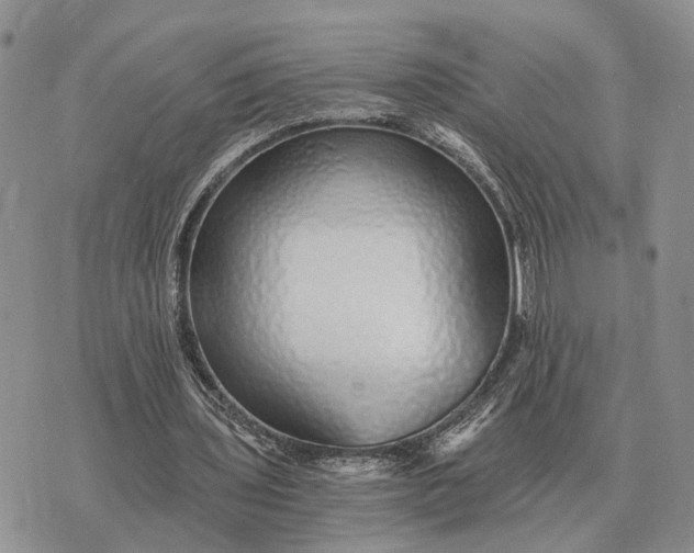 X0000072980435200608111745