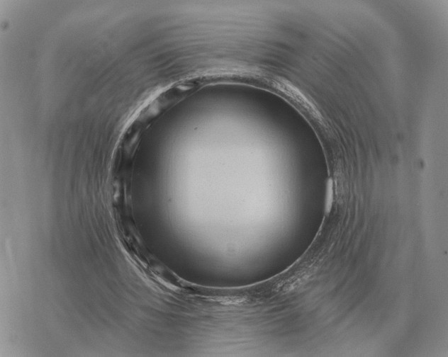 X0000072980436200608111745