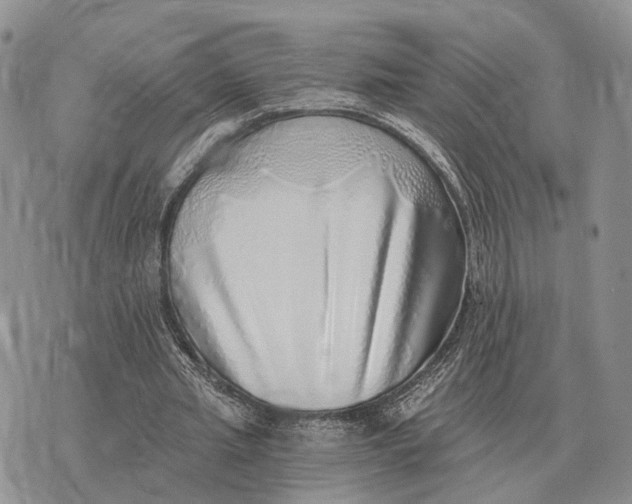 X0000072980437200608111745