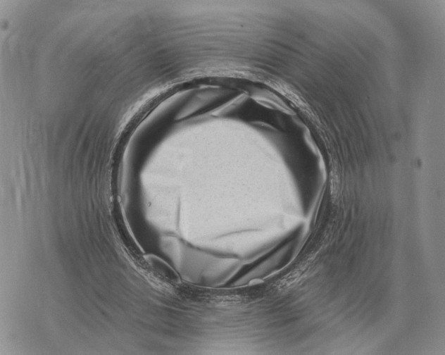 X0000072980438200608111745