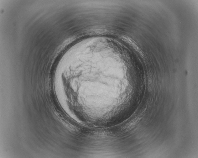 X0000072980439200608111745