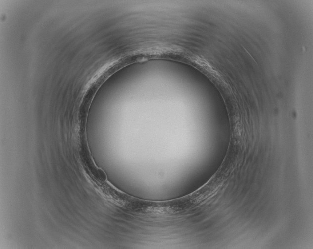 X0000072980440200608111745