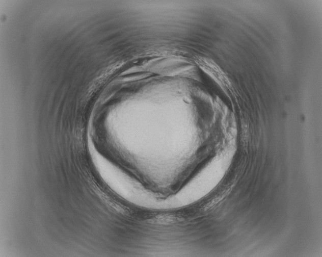 X0000072980441200608111745