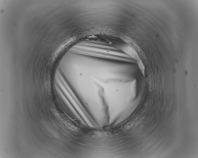 X0000072980442200608111745