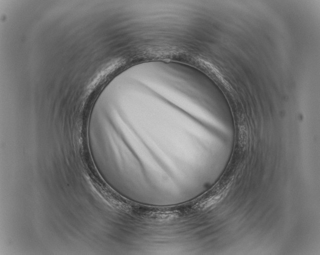 X0000072980443200608111745