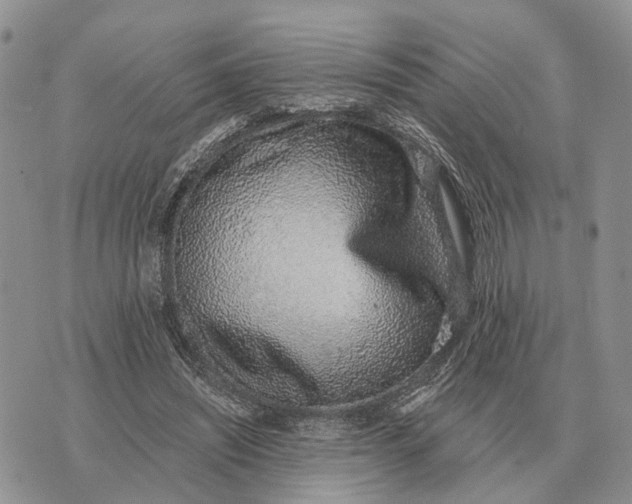 X0000072980444200608111745