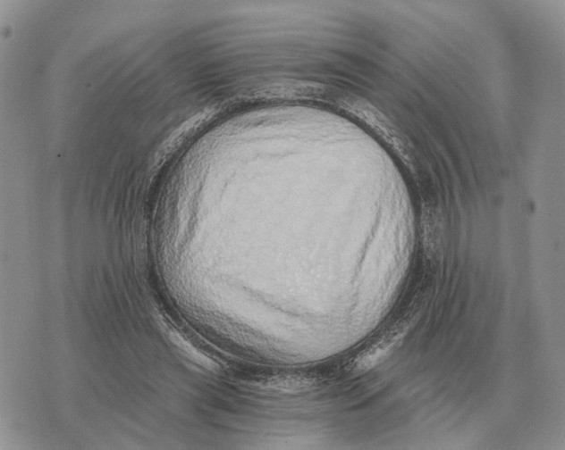 X0000072980445200608111745