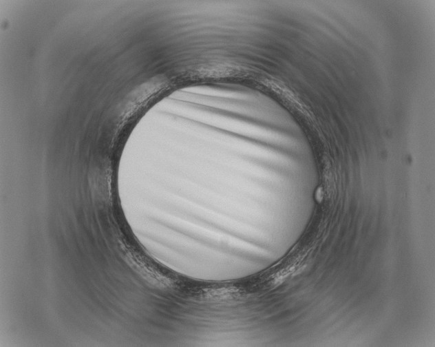 X0000072980446200608111745