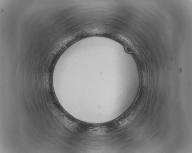 X0000072980447200608111745