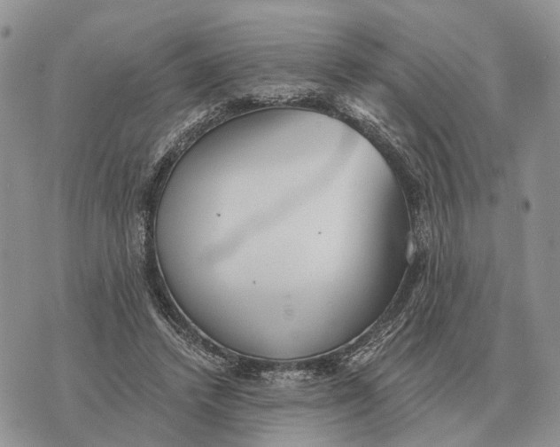 X0000072980448200608111745