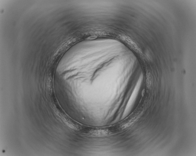 X0000072980449200608111745