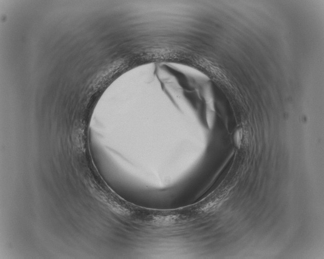 X0000072980450200608111745