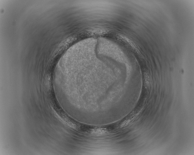 X0000072980451200608111745