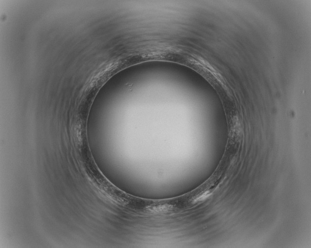 X0000072980452200608111745