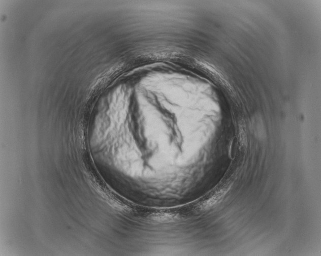 X0000072980453200608111745