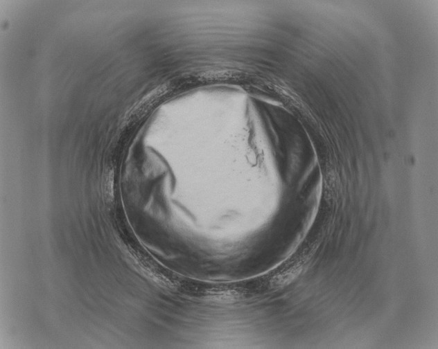 X0000072980454200608111745