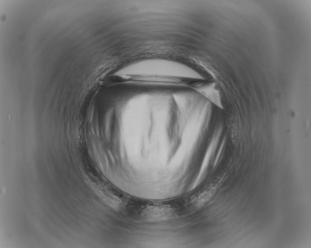 X0000072980455200608111745