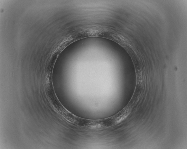 X0000072980456200608111745