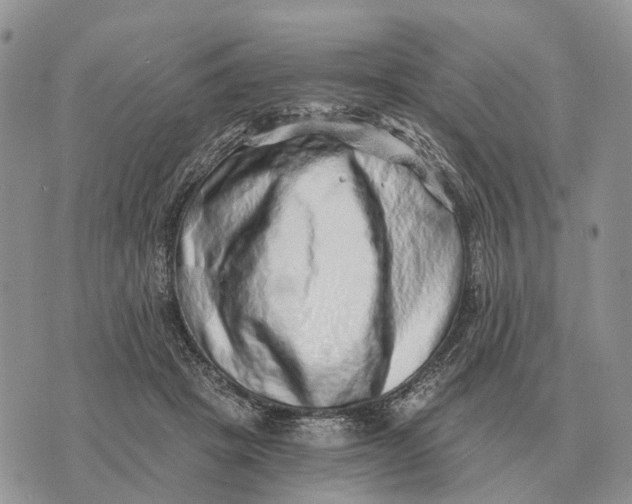 X0000072980457200608111745