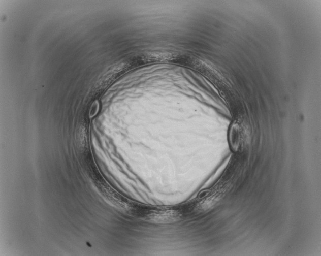 X0000072980459200608111745