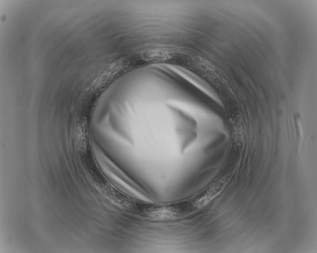 X0000072980460200608111746