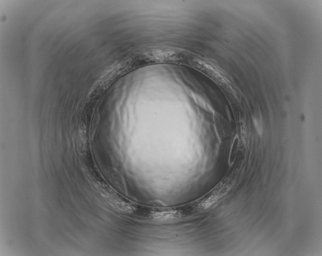 X0000072980461200608111746