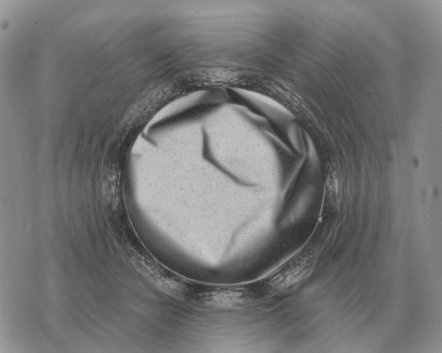 X0000072980462200608111746