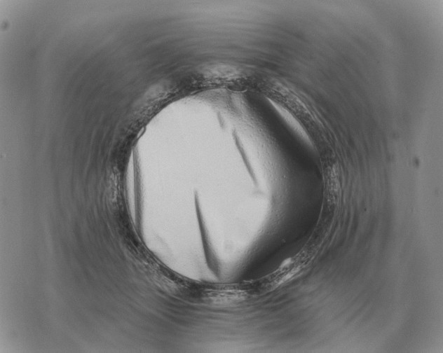 X0000072980463200608111746