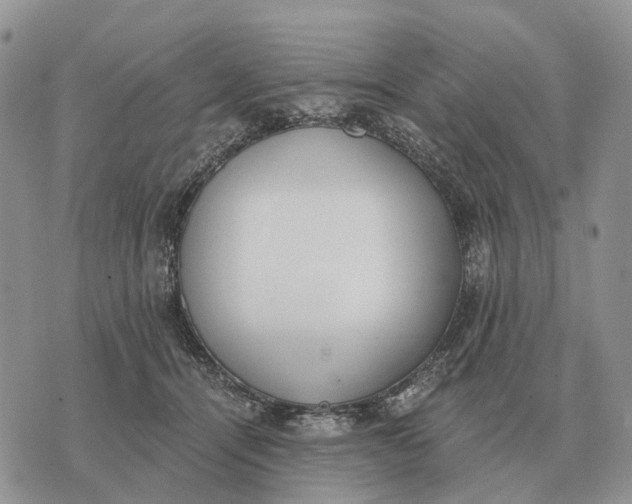 X0000072980464200608111746