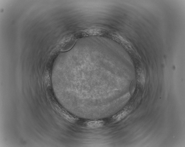 X0000072980465200608111746