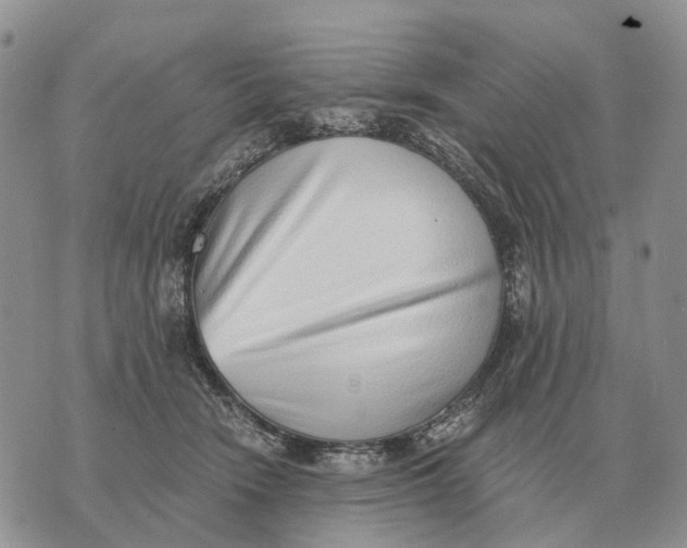 X0000072980466200608111746