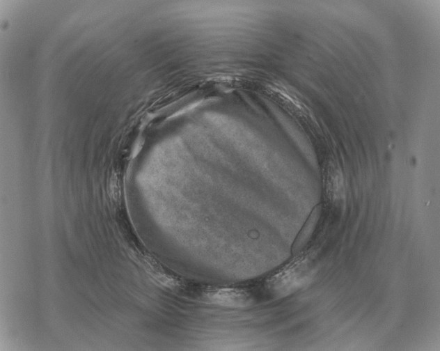 X0000072980467200608111746