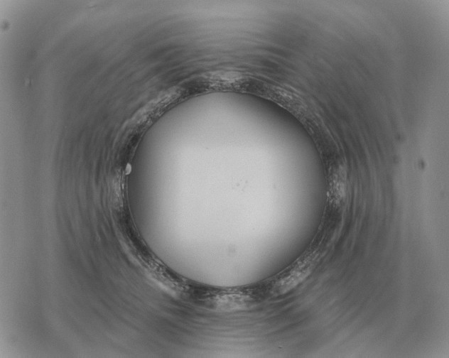 X0000072980468200608111746