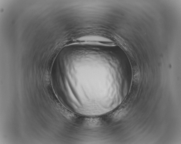 X0000072980469200608111746