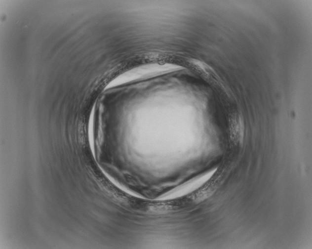 X0000072980470200608111746