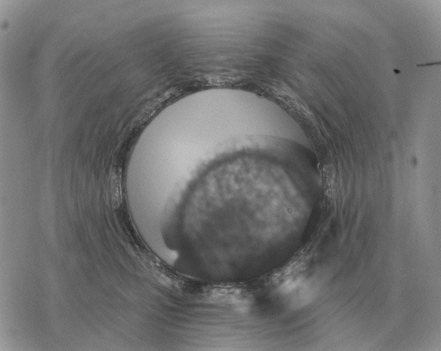 X0000072980471200608111746